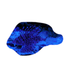 海の生き物(カピバラ？)（個別スタンプ：3）