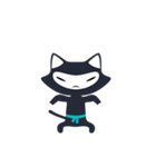 Cute ninja cat（個別スタンプ：13）