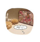 ちなこの日々（個別スタンプ：6）
