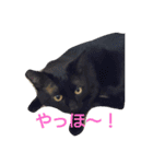 カワ猫♡（個別スタンプ：1）