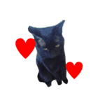 カワ猫♡（個別スタンプ：2）