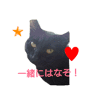 カワ猫♡（個別スタンプ：3）