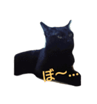 カワ猫♡（個別スタンプ：4）