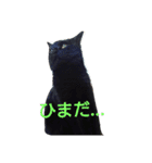 カワ猫♡（個別スタンプ：5）