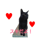 カワ猫♡（個別スタンプ：8）