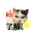 ラムの気持ち（個別スタンプ：2）