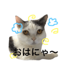 ラムの気持ち（個別スタンプ：3）