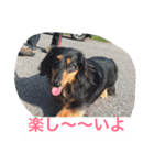 リル（個別スタンプ：1）