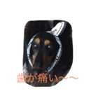 リル（個別スタンプ：3）