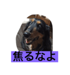 リル（個別スタンプ：4）