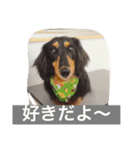 リル（個別スタンプ：5）