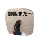リル（個別スタンプ：7）