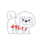 白犬プチ（個別スタンプ：1）