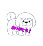 白犬プチ（個別スタンプ：2）