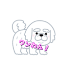 白犬プチ（個別スタンプ：6）