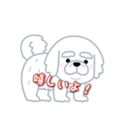 白犬プチ（個別スタンプ：8）