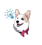 Corgi1（個別スタンプ：14）