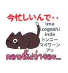 きまぐれ猫日本語タイ語（個別スタンプ：12）