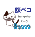 きまぐれ猫日本語タイ語（個別スタンプ：25）