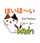 きまぐれ猫日本語タイ語（個別スタンプ：35）