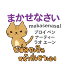 きまぐれ猫日本語タイ語（個別スタンプ：38）