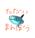 わ・ダンプのスタンプ（個別スタンプ：4）