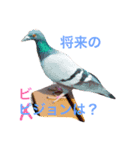 わ・ダンプのスタンプ（個別スタンプ：5）