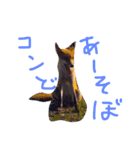 わ・ダンプのスタンプ（個別スタンプ：8）