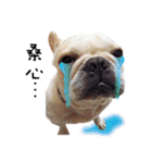 My buddy-Jimmy（個別スタンプ：16）