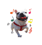 My buddy-Jimmy（個別スタンプ：20）