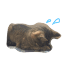 ねこたち☺︎（個別スタンプ：10）