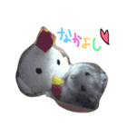 ねこたち☺︎（個別スタンプ：22）
