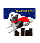 ポップ-E（個別スタンプ：1）