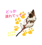 ポップ-E（個別スタンプ：12）