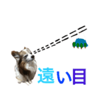 ポップ-E（個別スタンプ：14）