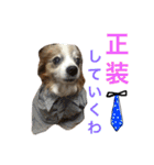ポップ-E（個別スタンプ：18）