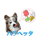 ポップ-E（個別スタンプ：25）
