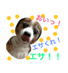 ポップ-E（個別スタンプ：30）