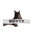 仕事に使える吹き出し集ー犬猫ー（個別スタンプ：4）