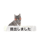 仕事に使える吹き出し集ー犬猫ー（個別スタンプ：5）