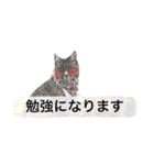 仕事に使える吹き出し集ー犬猫ー（個別スタンプ：7）