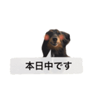 仕事に使える吹き出し集ー犬猫ー（個別スタンプ：10）