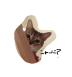 ほのぼの  りん3（個別スタンプ：3）
