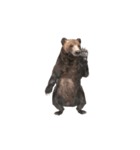 Grizzly Bear for Chat II（個別スタンプ：2）