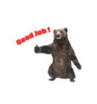 Grizzly Bear for Chat II（個別スタンプ：9）