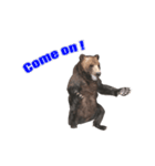 Grizzly Bear for Chat II（個別スタンプ：10）