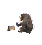 Grizzly Bear for Chat II（個別スタンプ：14）