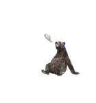 Grizzly Bear for Chat II（個別スタンプ：15）