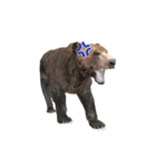 Grizzly Bear for Chat II（個別スタンプ：18）