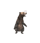 Grizzly Bear for Chat II（個別スタンプ：21）